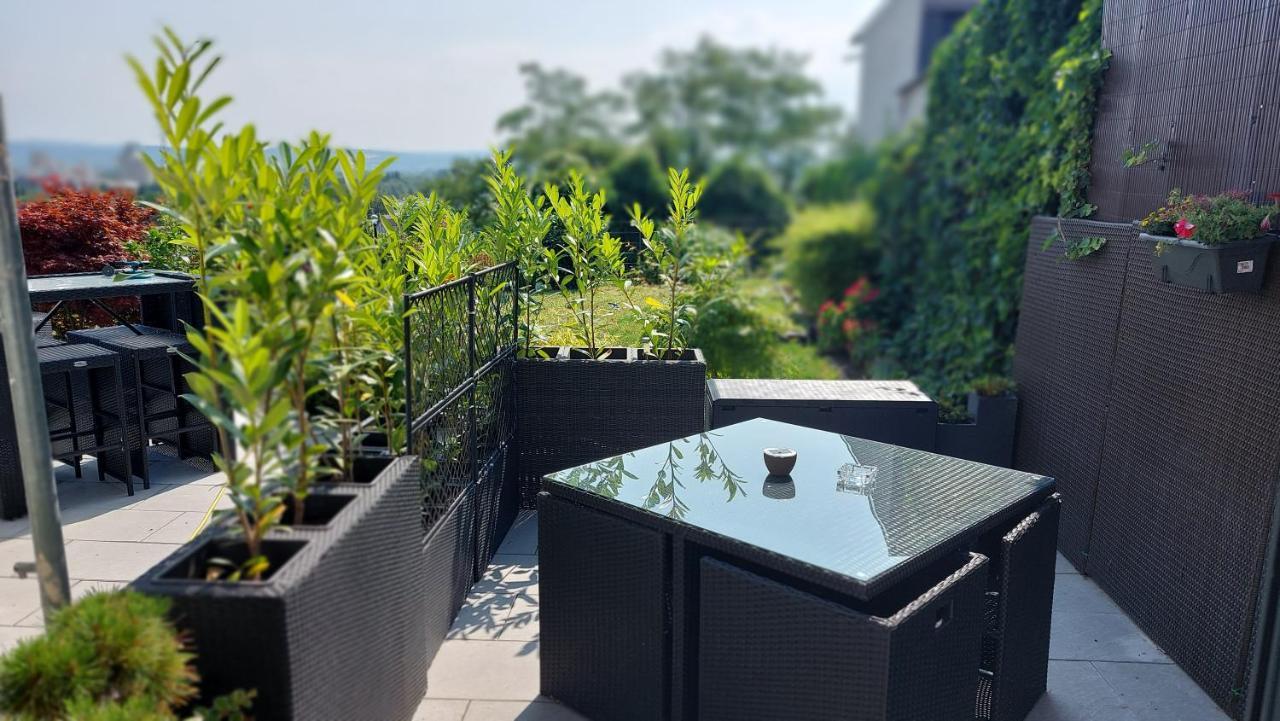 Rheinblick Apartment Weissenthurm Luaran gambar